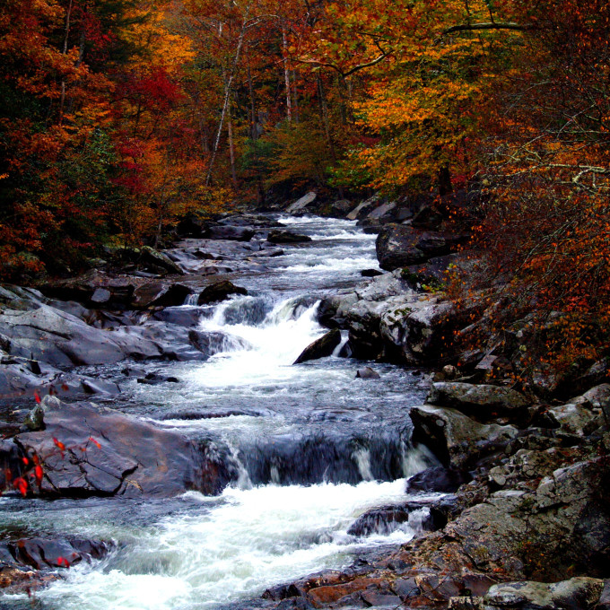 Affordable Gatlinburg Cabins For The Whole Family Vrbo