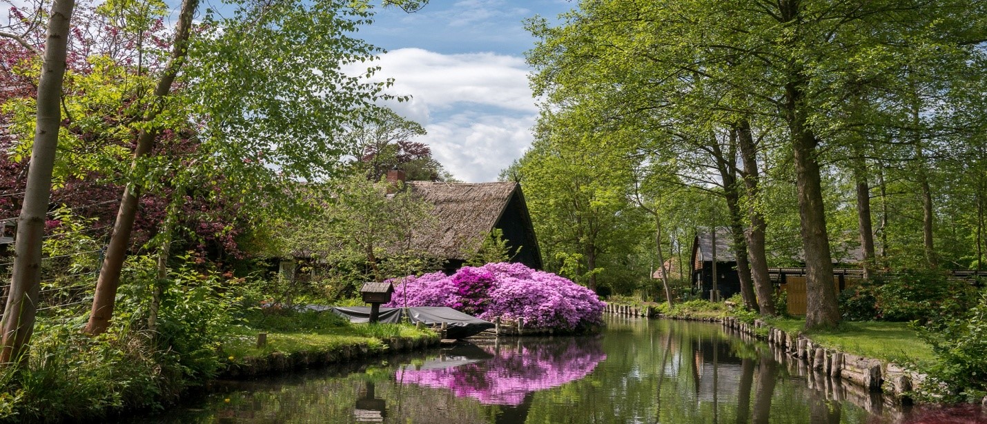 Ein Ferienhaus Im Spreewald Urlaub Am Wasserlabyrinth Fewo Direkt