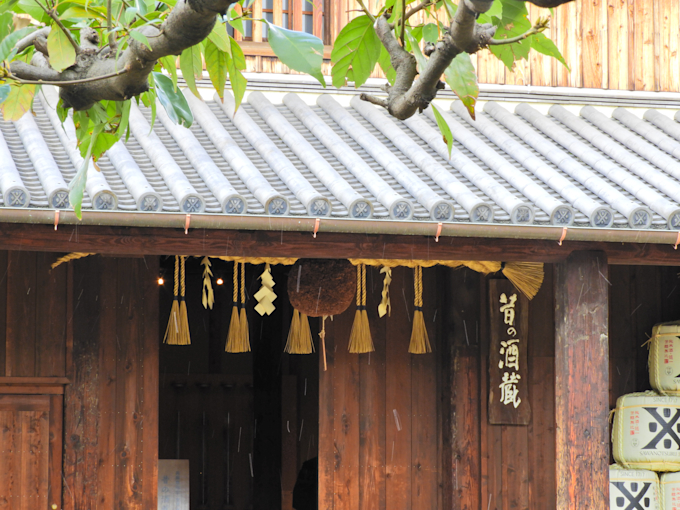 多彩なカルチャーが交差する神戸のゲストハウス Vrbo 日本 多彩なカルチャーが交差する神戸のゲストハウス Vrbo 日本