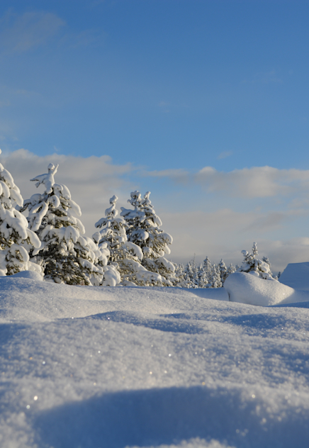 Vivi La Montagna In Liberta Con Uno Chalet In Affitto Vrbo Italia