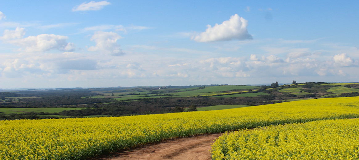 Vacances Au Vert Idees Vacances A La Campagne Location Gite