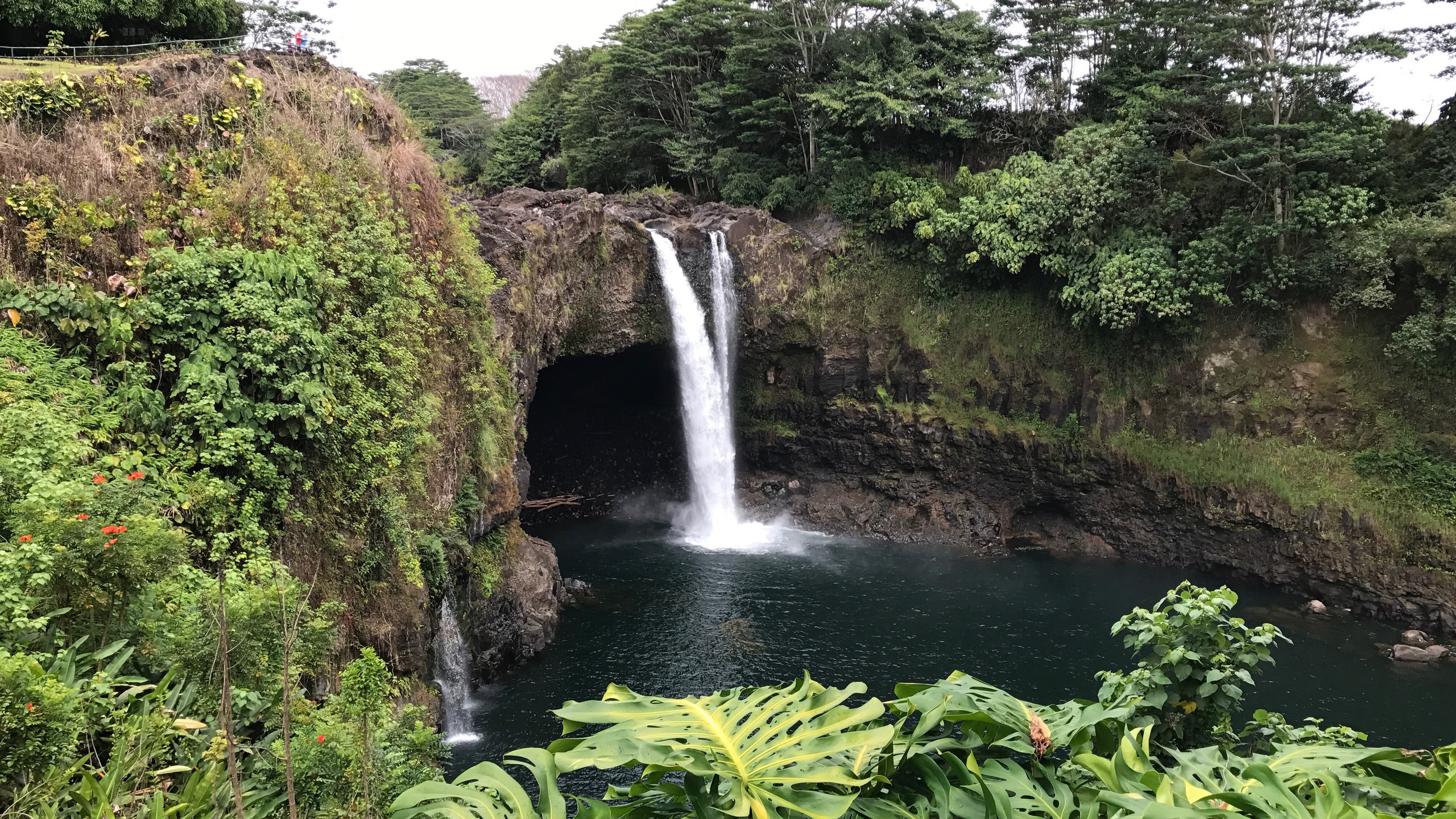 Experience A Tropical Holiday In A Hawaii Accommodation Stayz