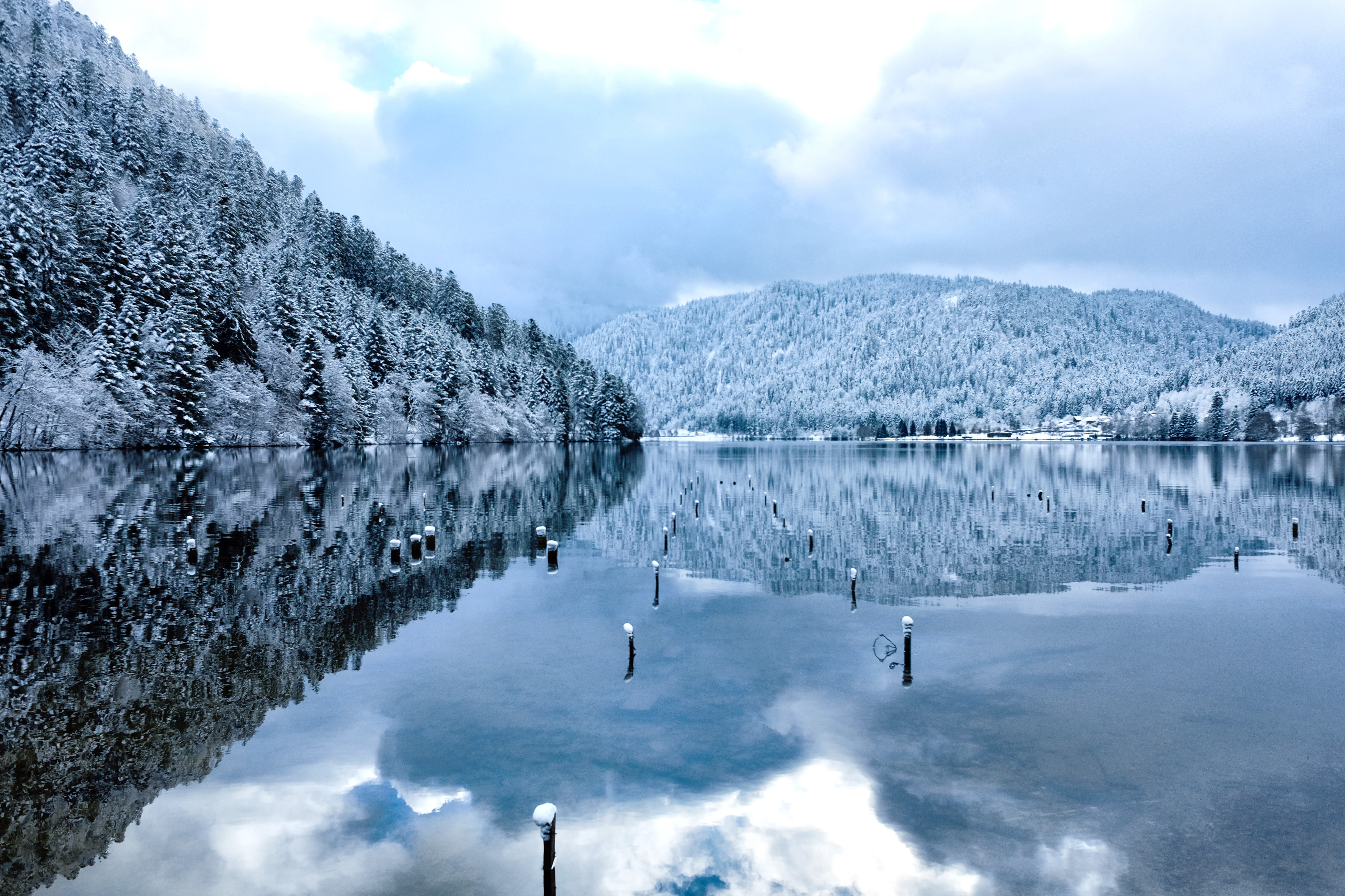 les vosges