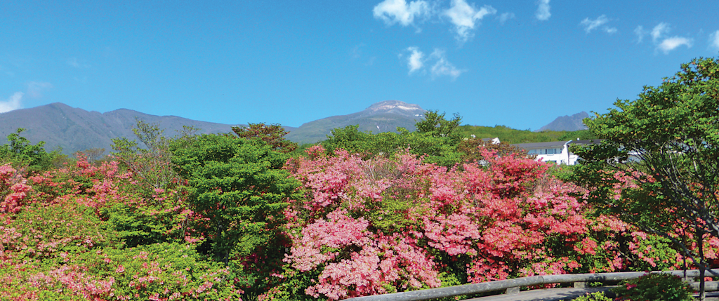 温泉自慢の栃木を旅するなら 旅館がおすすめ Vrbo 日本 温泉自慢の栃木を旅するなら 旅館がおすすめ Vrbo 日本