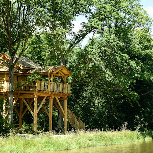cabane dans les arbes