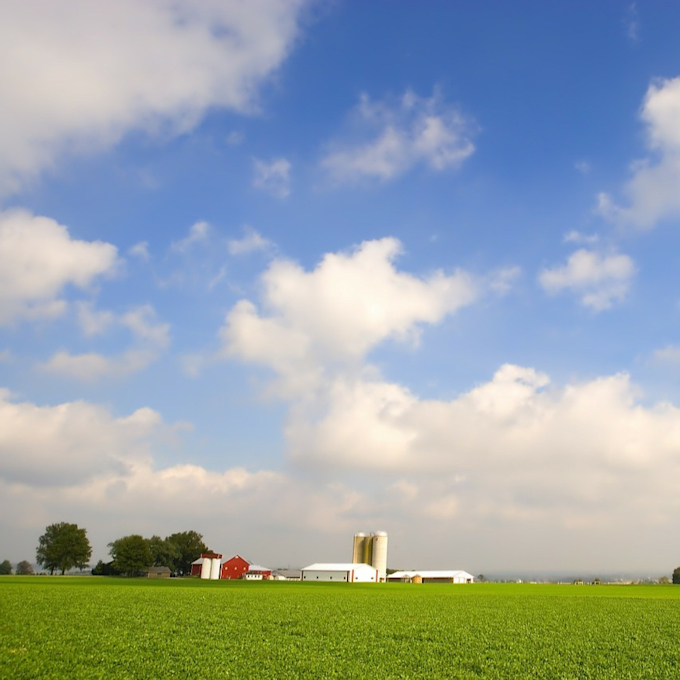 Escape To Treehouses In Ohio Vrbo