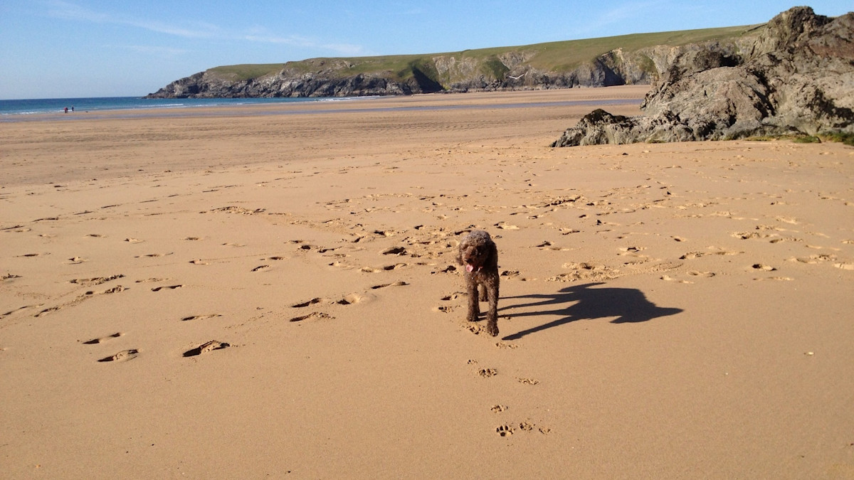 Find dogfriendly cottages in Cornwall HomeAway