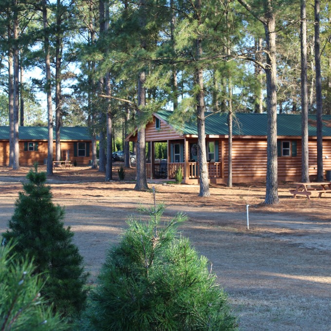 How To Book State Park Cabins Vrbo