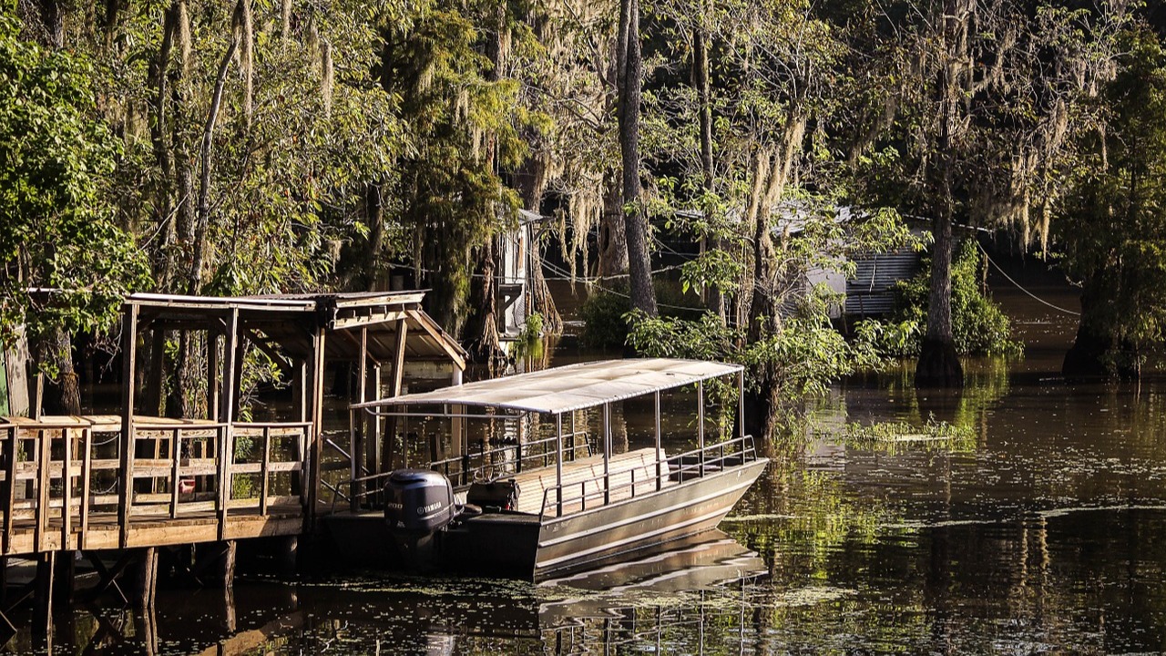 Explore East Texas From These Caddo Lake Cabins Vrbo