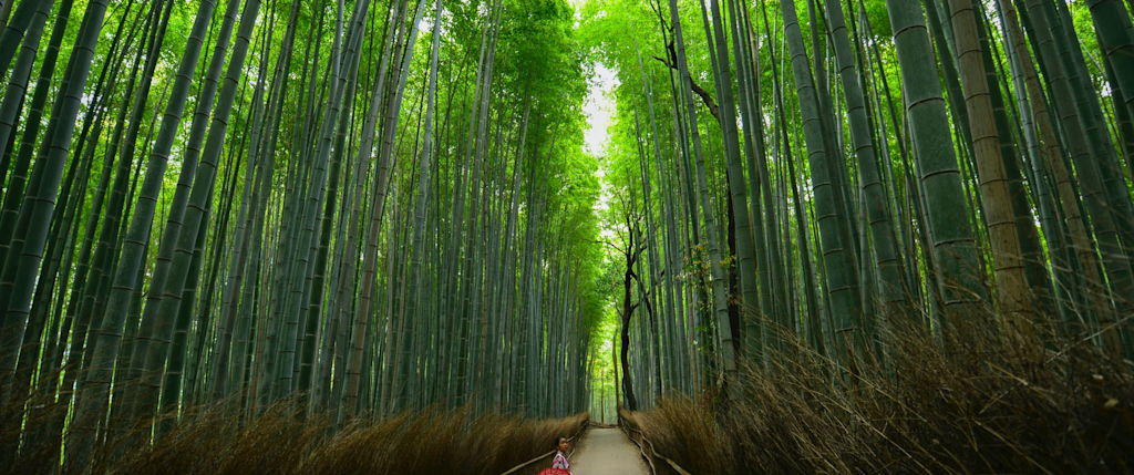 嵐山の旅館ステイで京都がもっと楽しくなる Vrbo 日本
