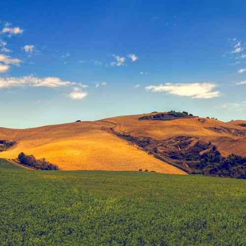 A typical scene in the Tuscan countryside