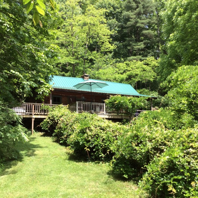 Dog And Pet Friendly Cabin Rentals In The South Vrbo