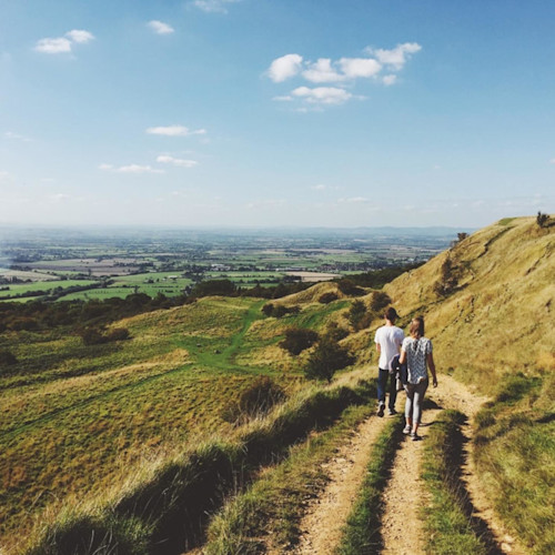 Cotswolds