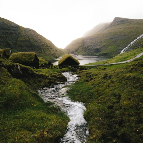 A Landscape of Grass