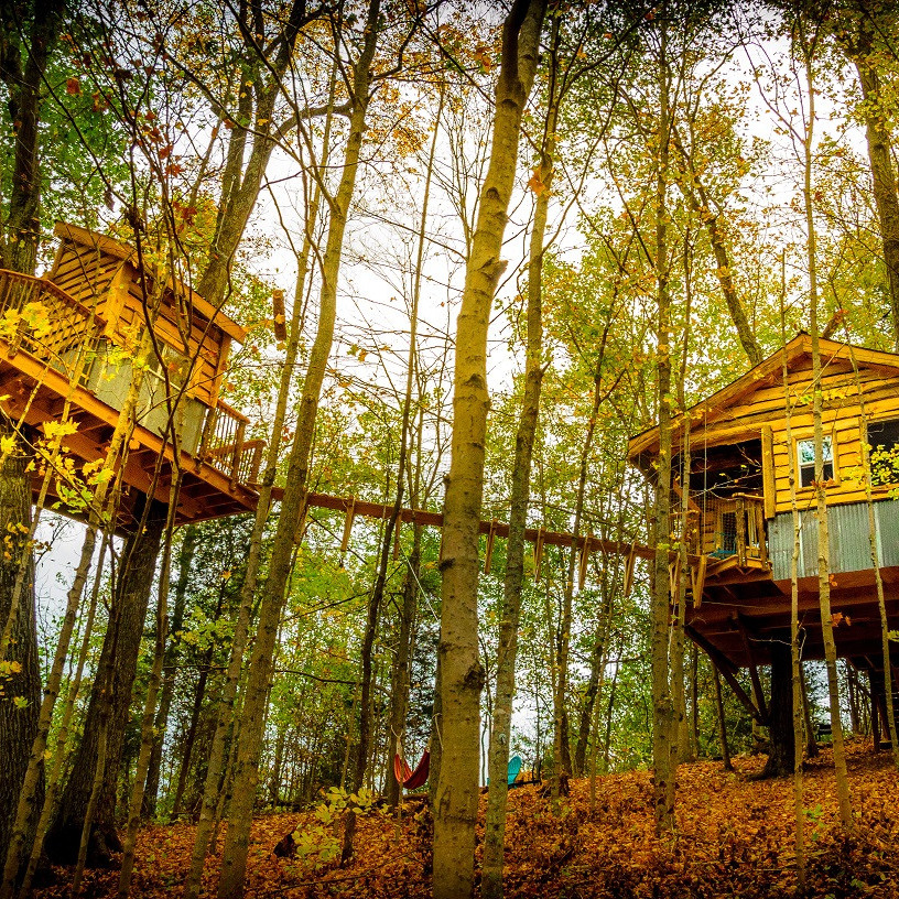 The Top Destinations To Find Cool Treehouses Vrbo