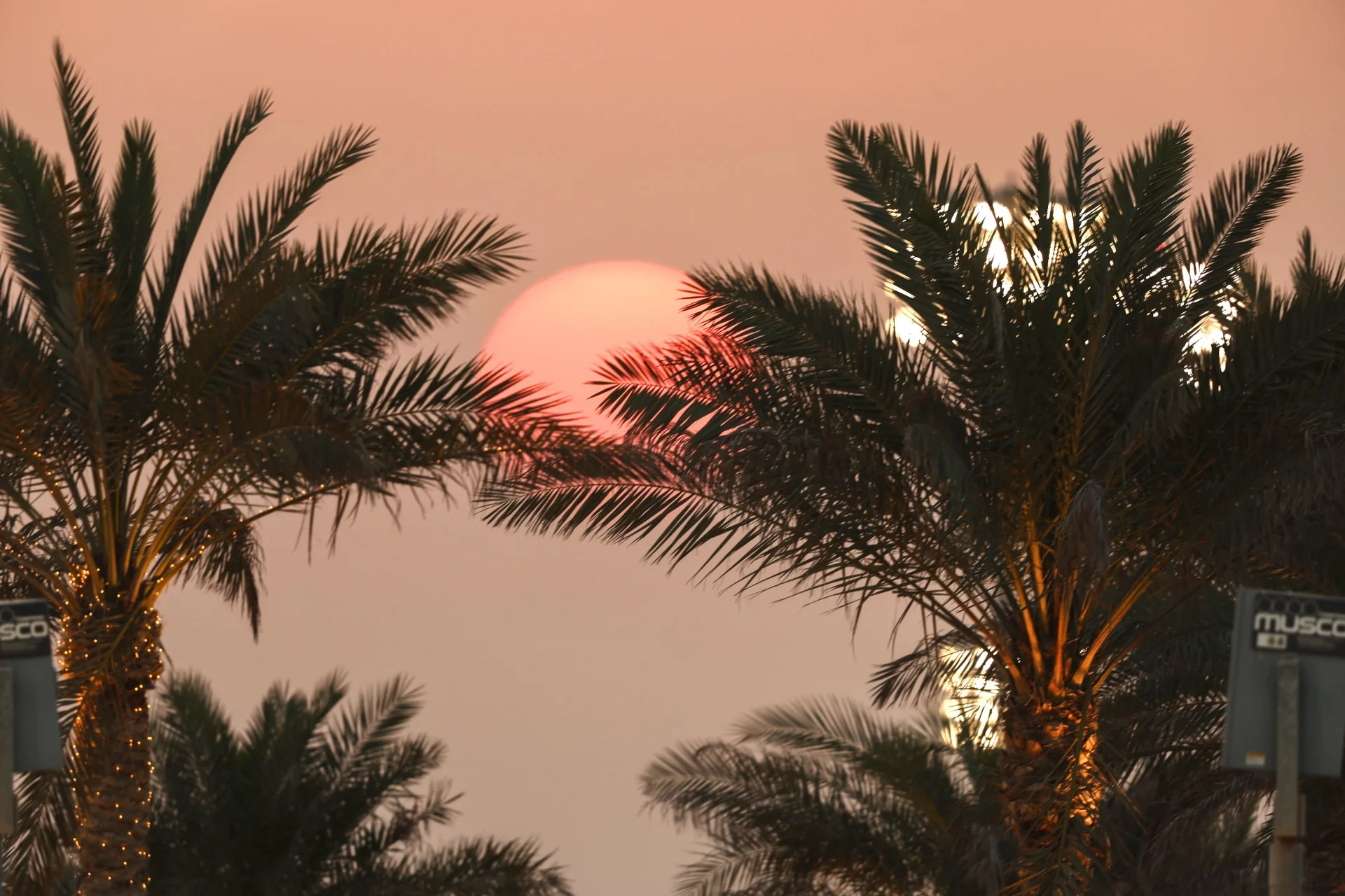 Formula-1 - 2023 - Bahrain-grand-prix