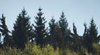 Listing Card Formula-1 - 2023 - Schedule Belgian Grand Prix