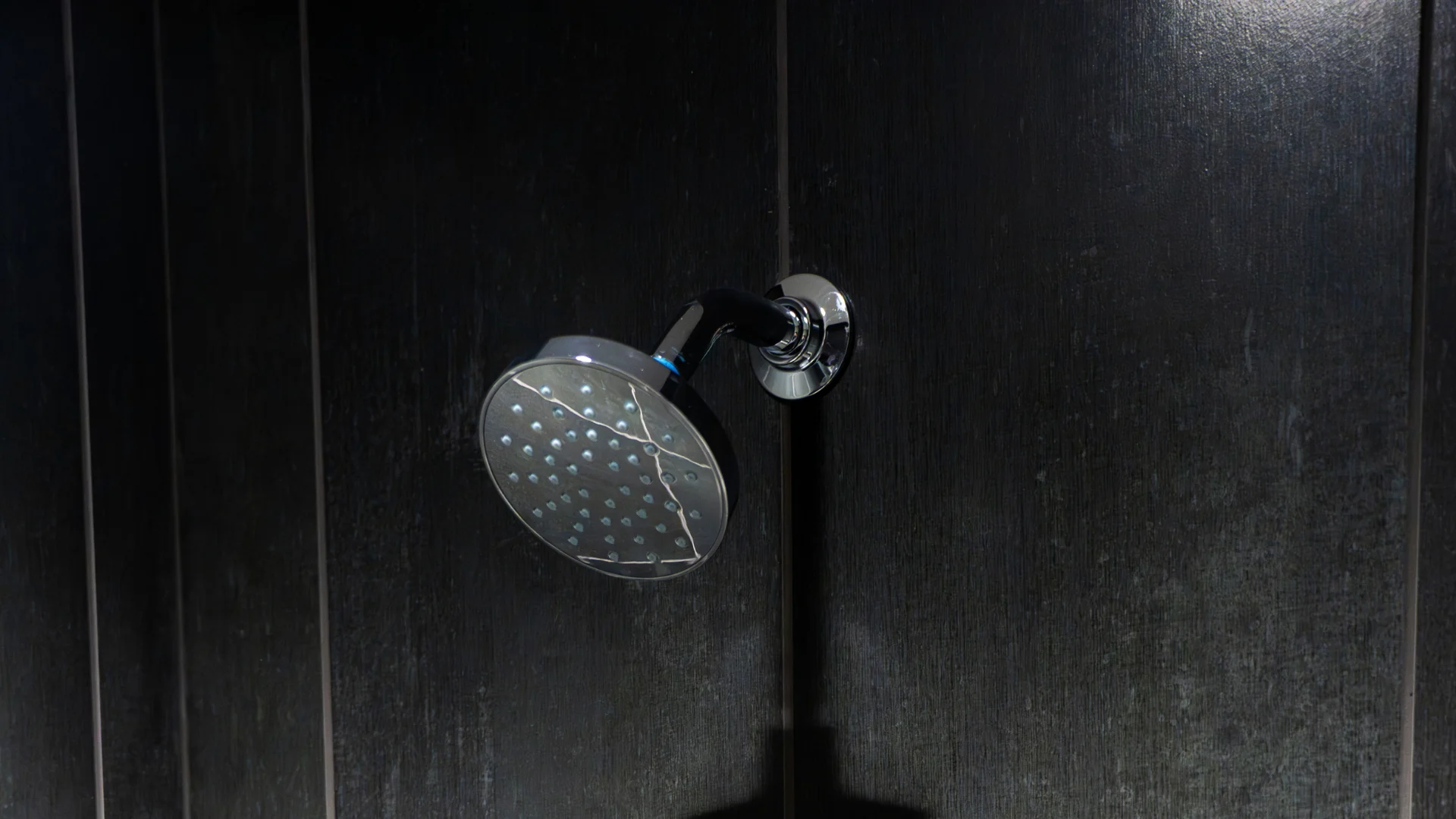 Kohler Shower Head