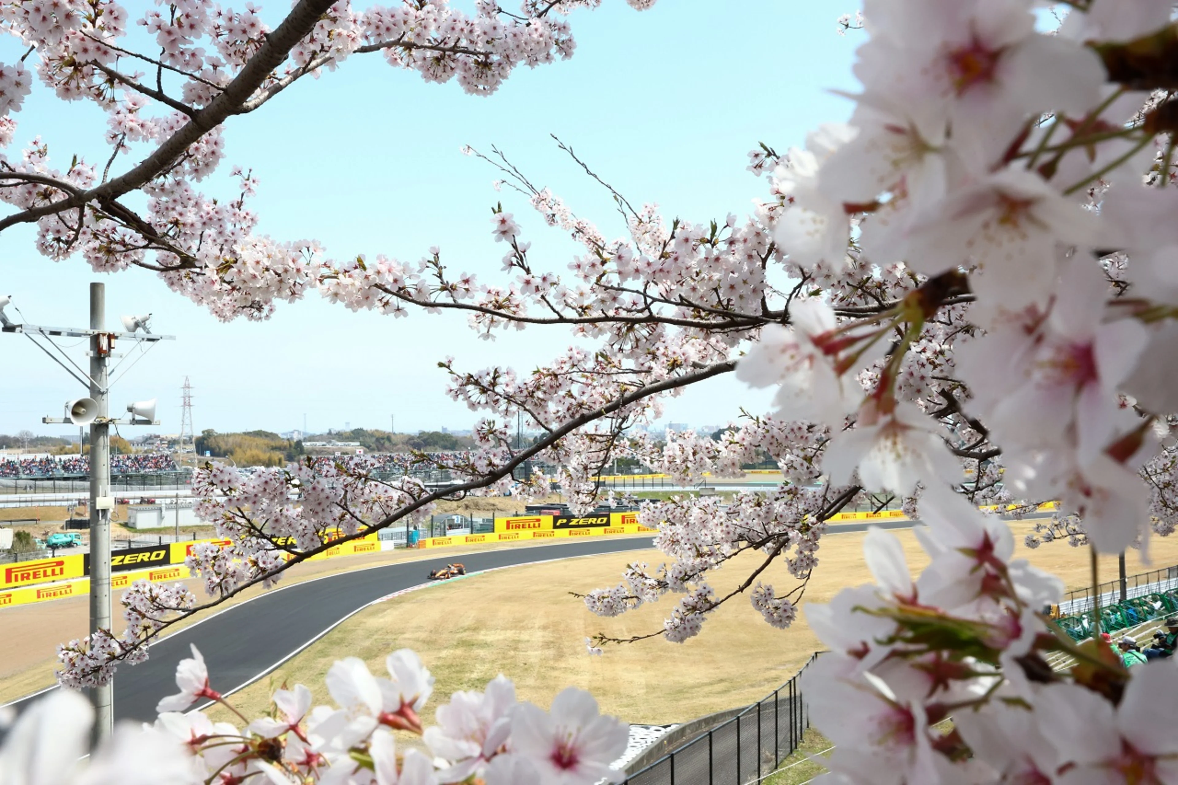 Formula-1 - 2026 - Japanese-grand-prix