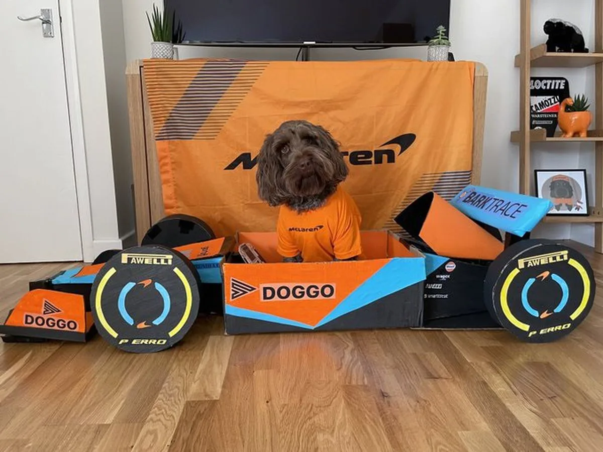 - Fraggle Shires (dog) and Leah (artist), from England