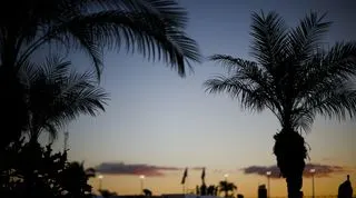 McLaren Formula 1 at the Miami Grand Prix