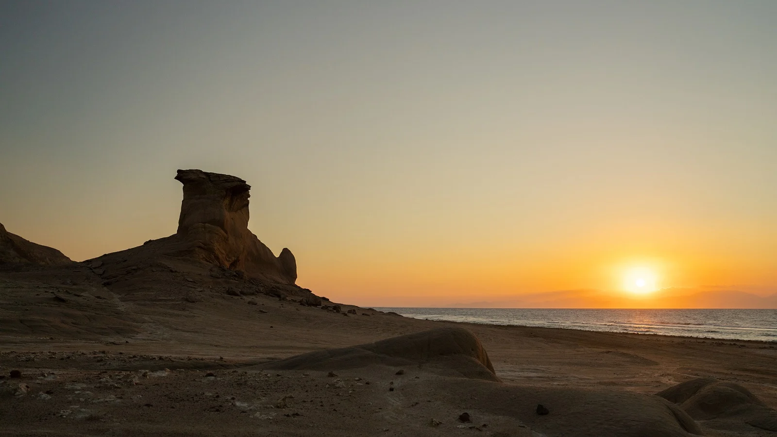 Partners - Neom -   - 4