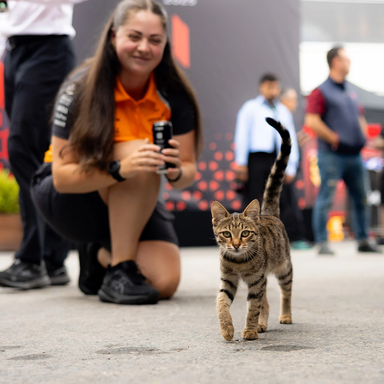 Formula-1 - 2026 - Azerbaijan-grand-prix - Twisting turns & fast straights 🇦🇿  - 4