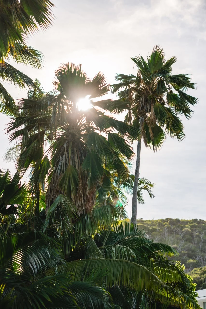 Sustainability - Why-are-mclaren-working-with-the-great-barrier-reef-foundation - Taking a trip to the Great Barrier Reef - 2