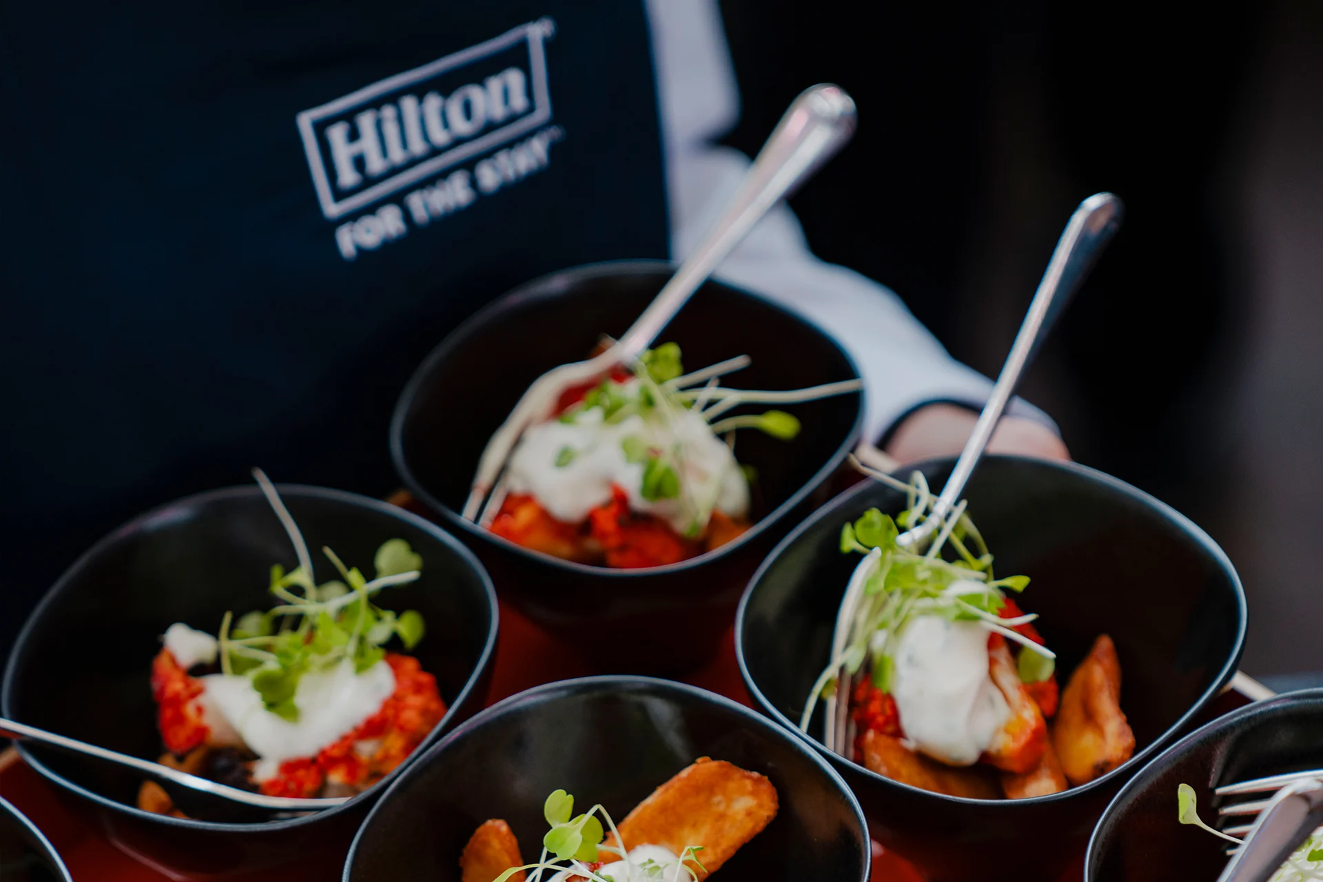 Signia by Hilton Diplomat Beach Resort