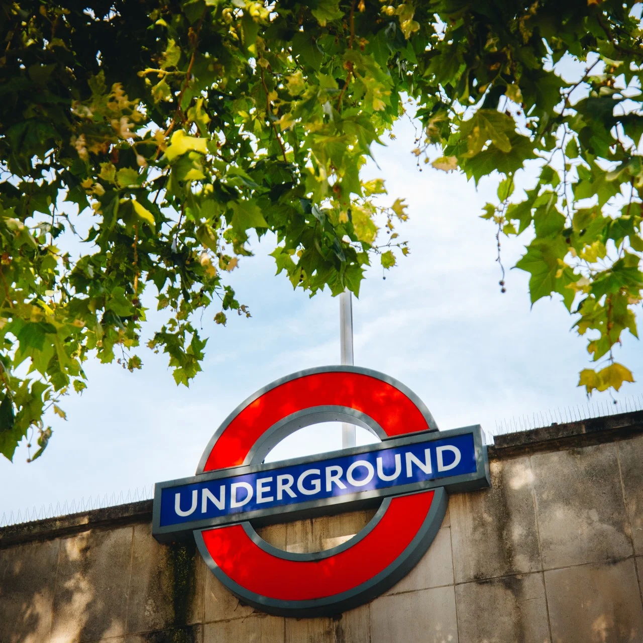 Listing Card Formula-e - 2024 - Schedule London E-Prix I & II