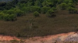 Formula-1 - 2021 - Portuguese-grand-prix - Portuguese-gp-race-page