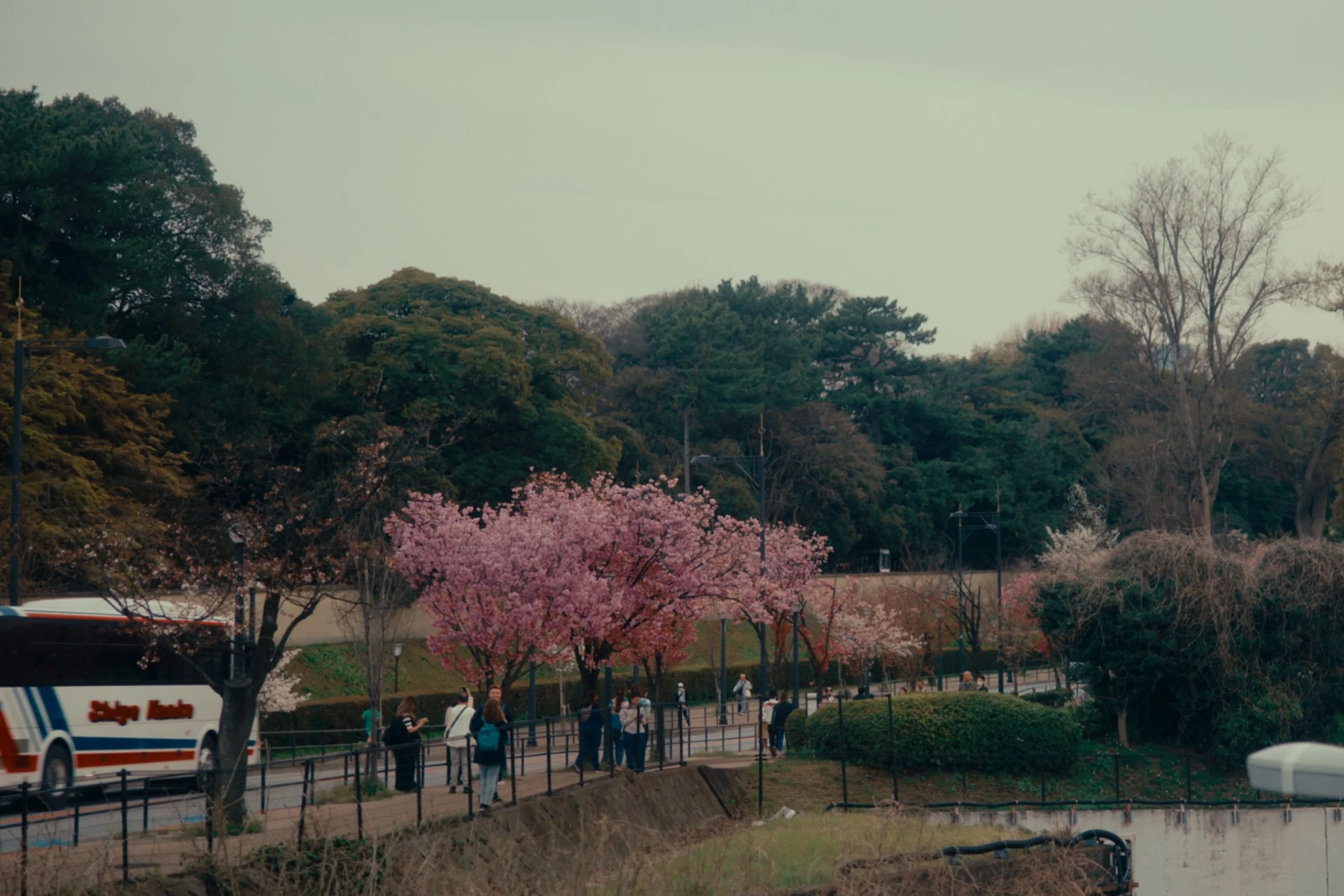 Formula-1 - 2024 - Japanese-grand-prix - Guide-to-japan - Exploring the streets of Tokyo - 3