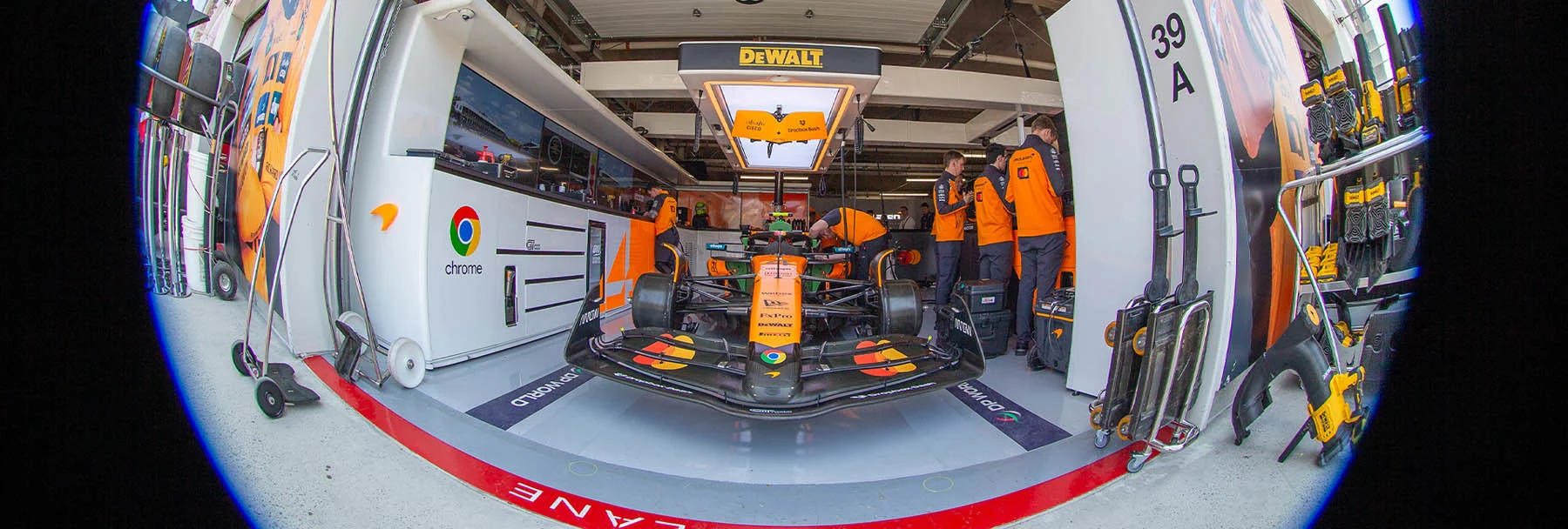 Under the skin of the MCL39