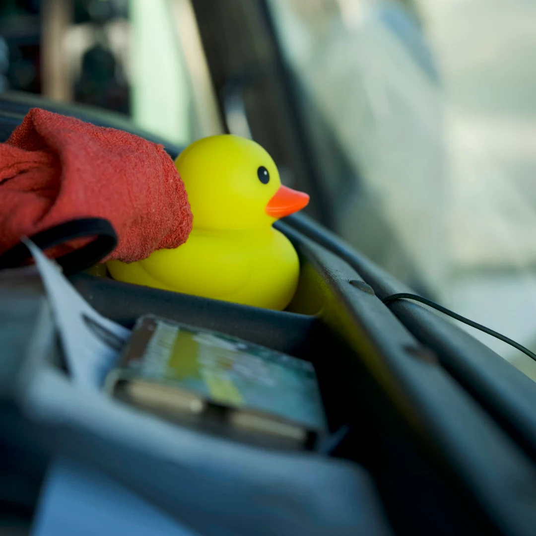 Indycar 2026 - 11:30 A.M.: Lunch break