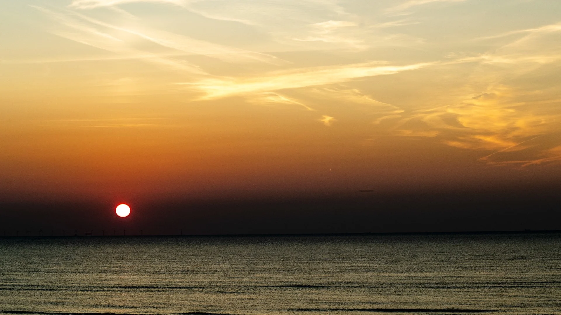 Listing Card Formula-1 - 2024 - Schedule Dutch Grand Prix