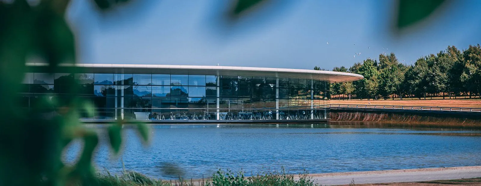 Descriptive Card - Launching a programme to accelerate and scale climate solutions