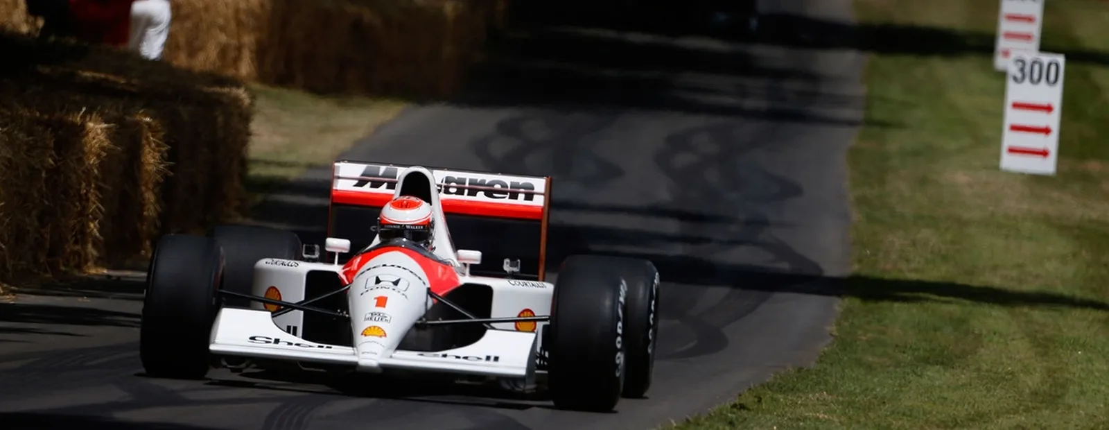 Festival of Speed LIVE