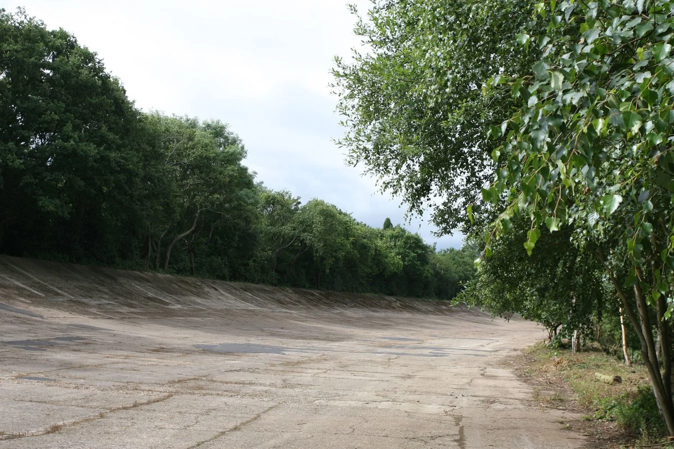 Heritage - Formula-1 - Drivers - Carlos-sainz - Sainz-surrey-survival-kit