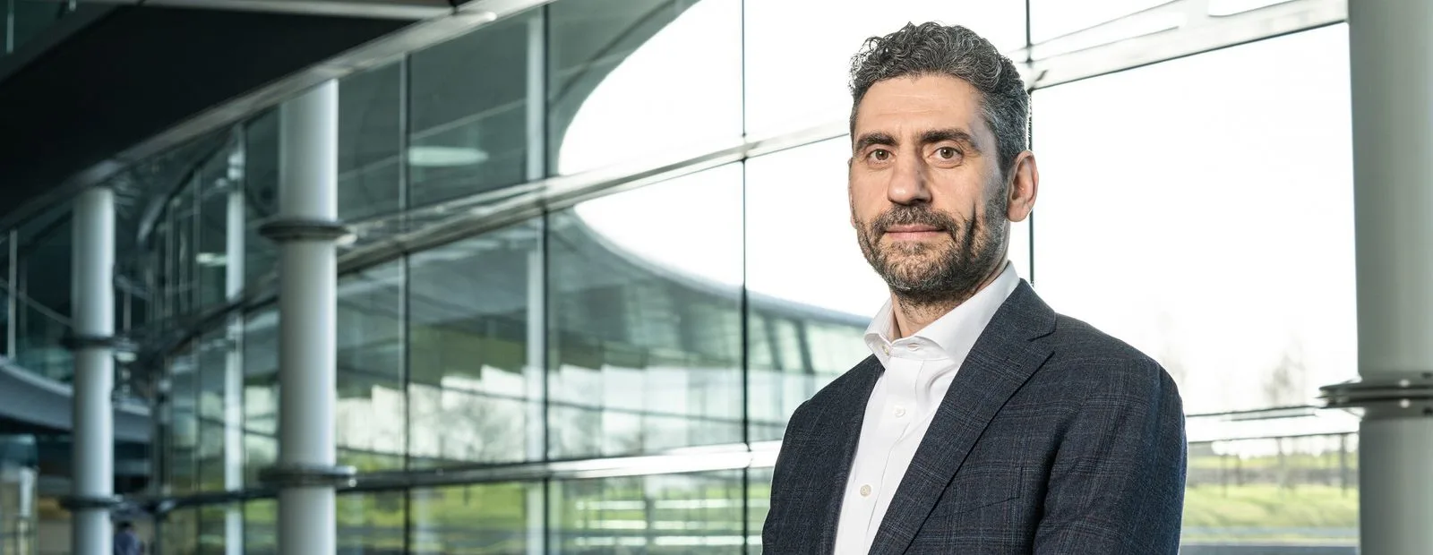 Andrea Stella Banner Image