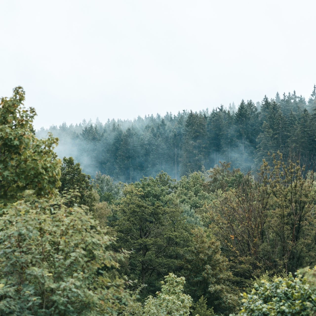 Listing Card Formula-1 - 2024 - Schedule Belgian Grand Prix