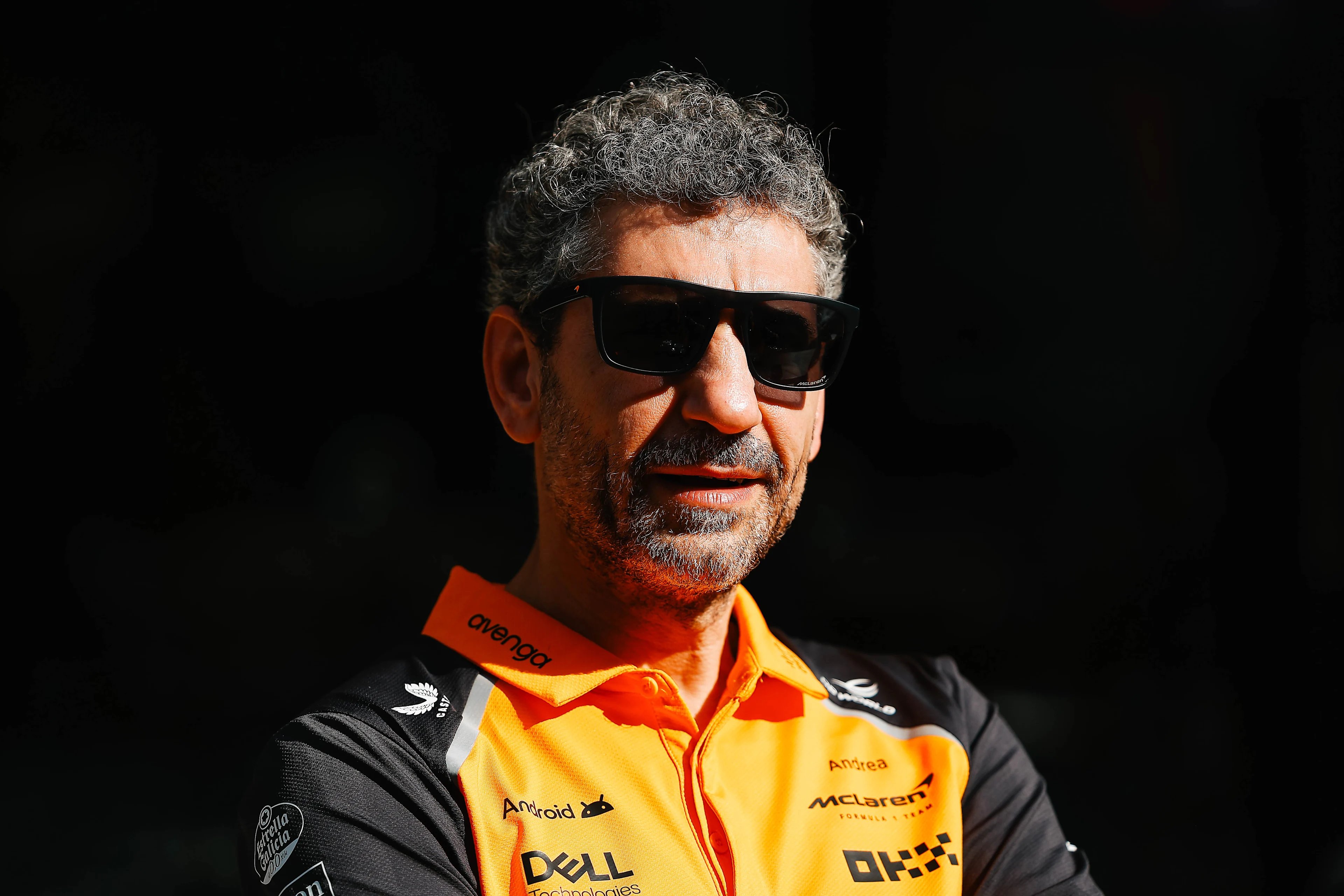 Andrea Stella
