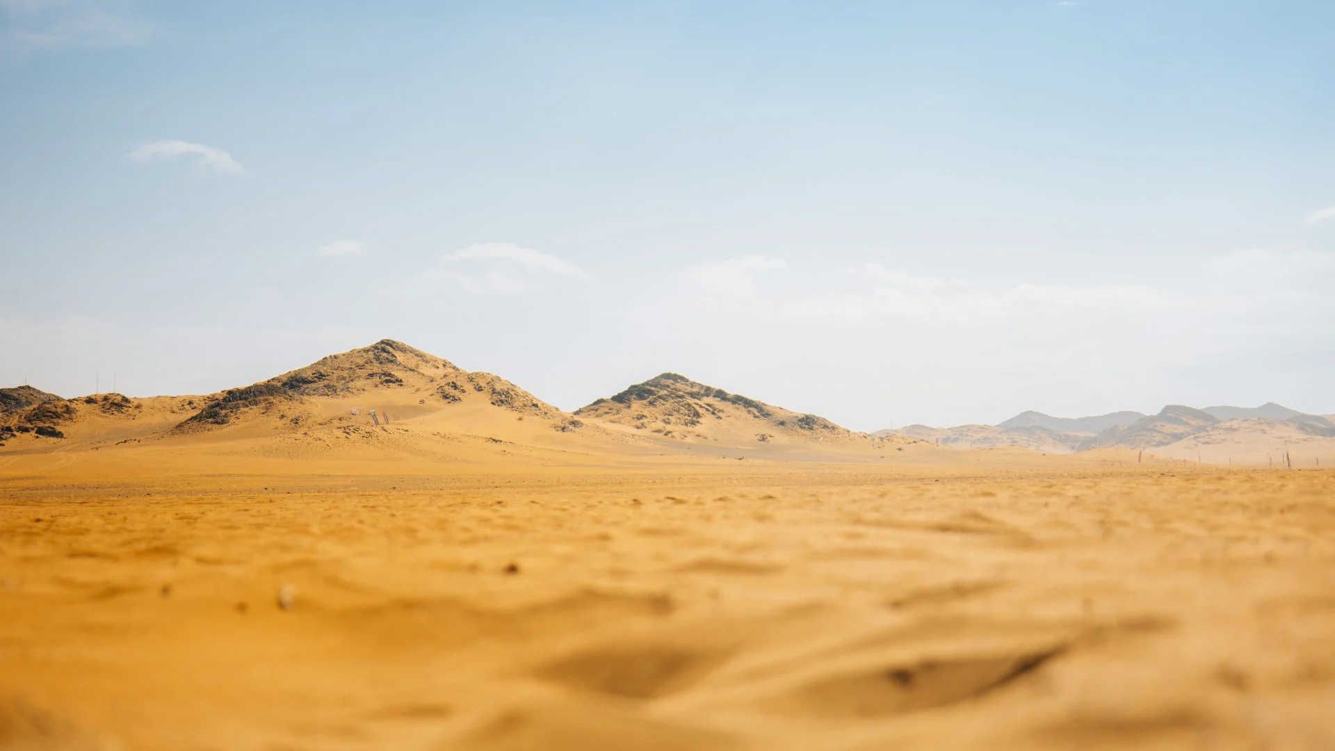 Your guide to the 2024 Desert X Prix