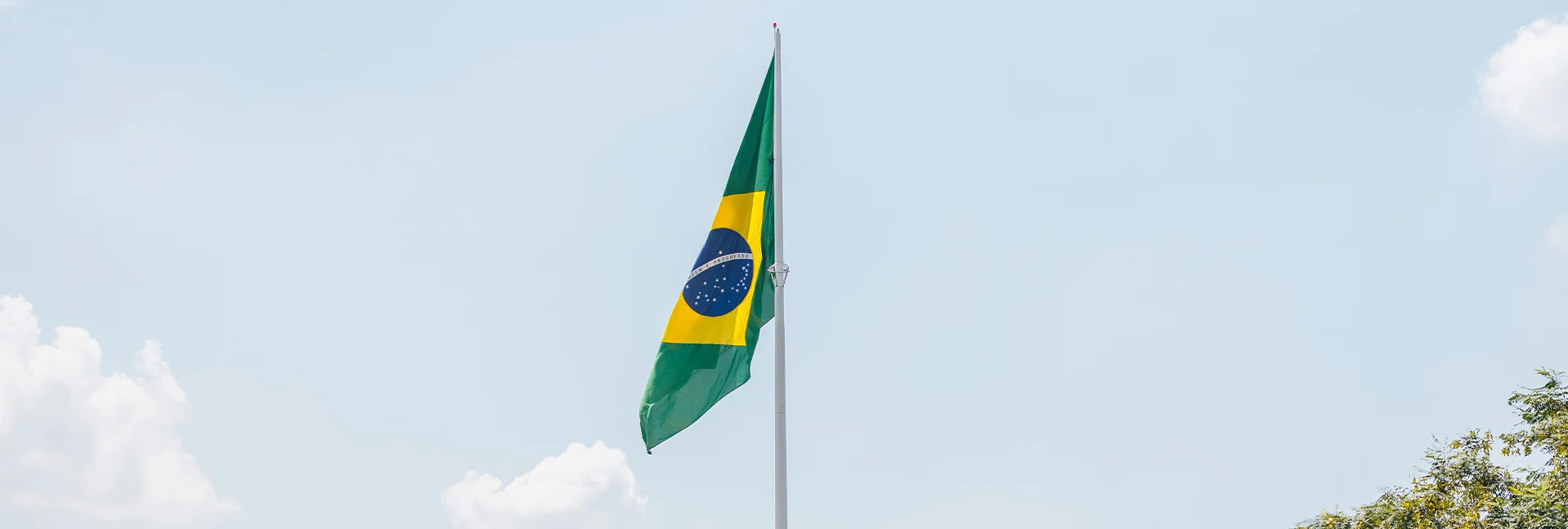 Your guide to the 2024 São Paulo E-Prix