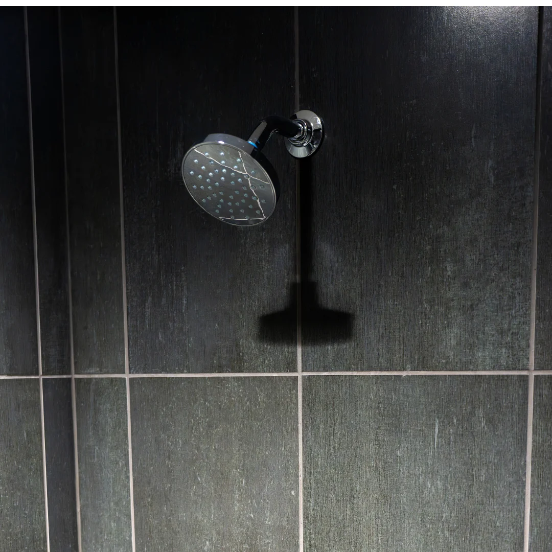 Kohler Shower Head