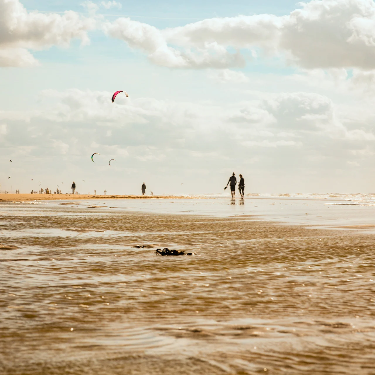 Formula-1 - 2026 - Dutch-grand-prix - Battling the banking 🧗  - 5