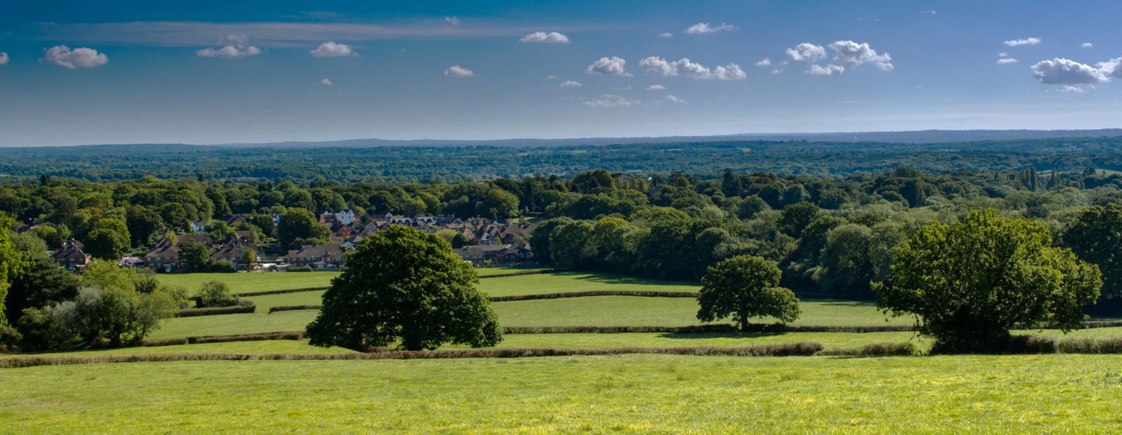 Sainz's Surrey survival kit