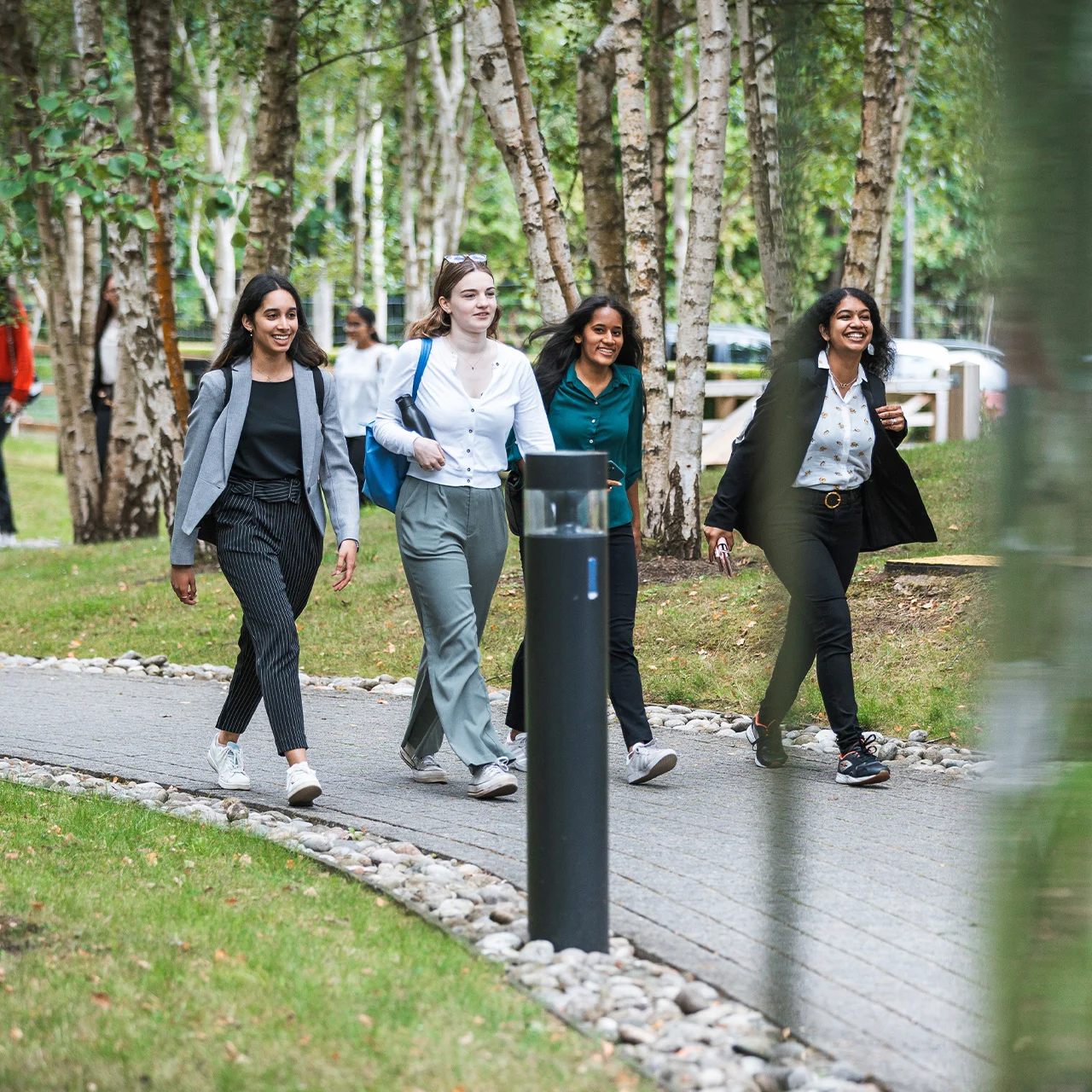 Descriptive Card - How to carve your own path