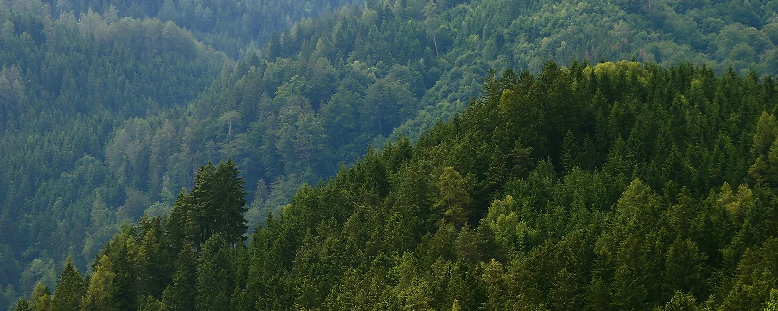 Formula-1 - 2024 - Austrian-grand-prix