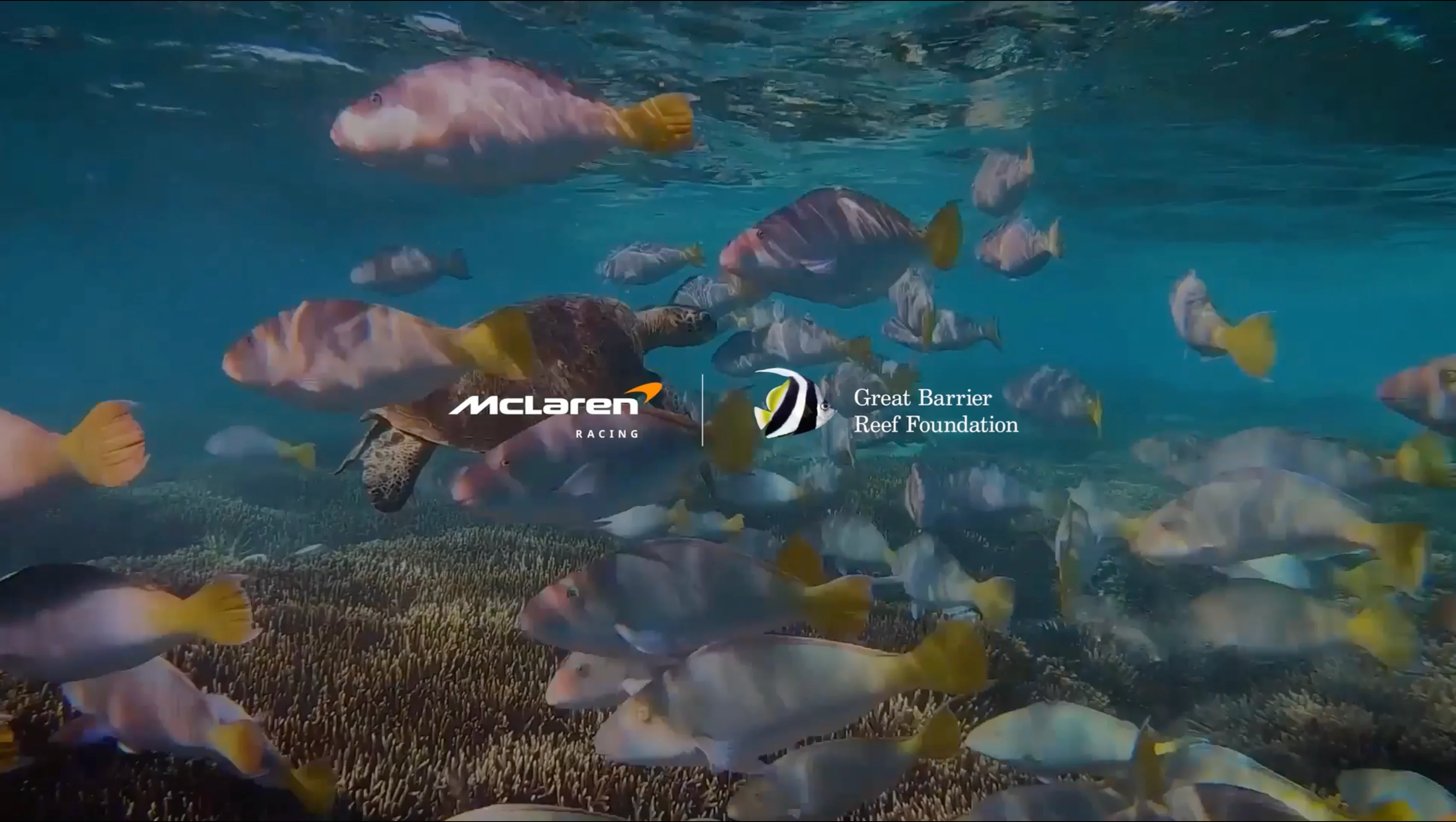 Video Poster - Sustainability  - The Great Barrier Reef Foundation Partnership with McLaren Racing