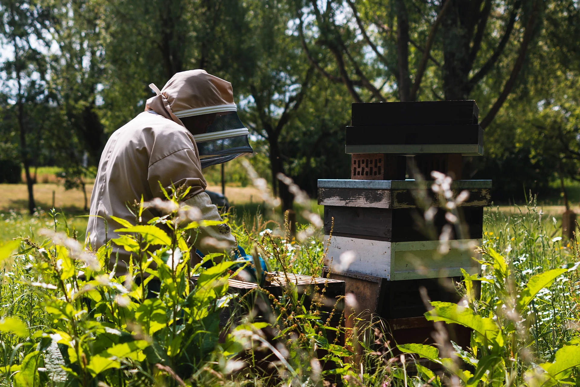 Sustainability - Key-takeaways-from-mclarens-2024-sustainability-report